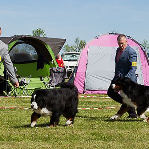 IMG_3279