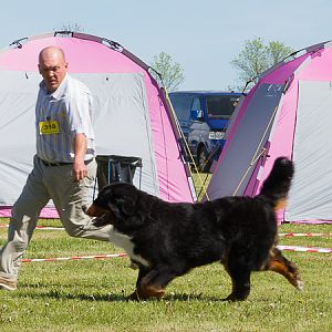 IMG_3280