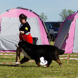 IMG_3283