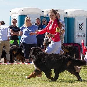 IMG_3321