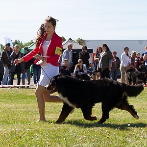 IMG_3328
