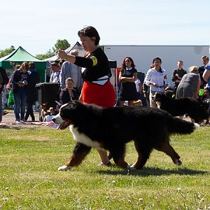 IMG_3331