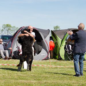 IMG_3349