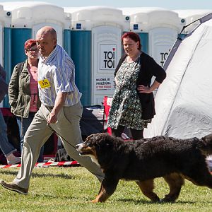 IMG_3381