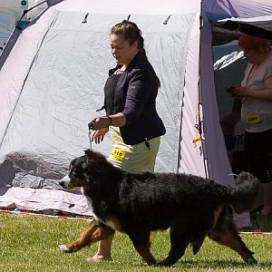 IMG_3384