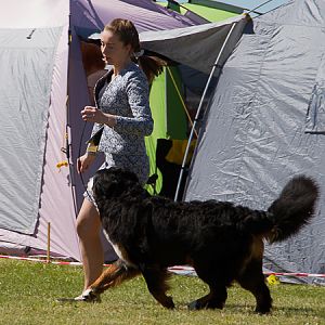 IMG_3421