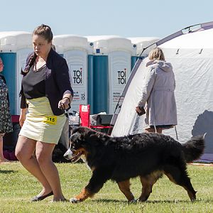 IMG_3433