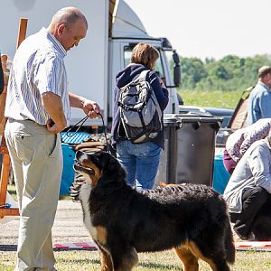 IMG_3453
