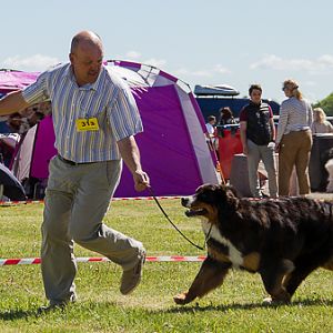 IMG_3461