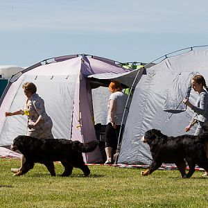 IMG_3497