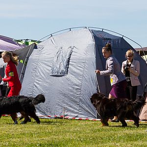 IMG_3501