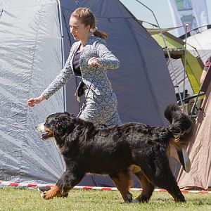 IMG_3526