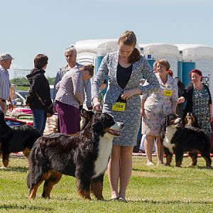 IMG_3540