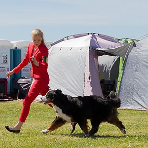 IMG_3555