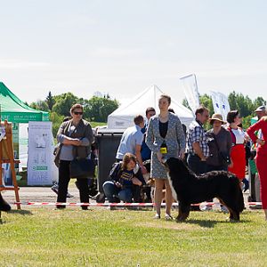 IMG_3585