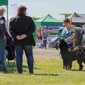 IMG_3650