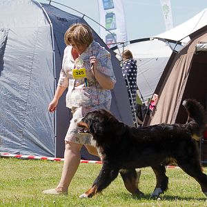 IMG_3665