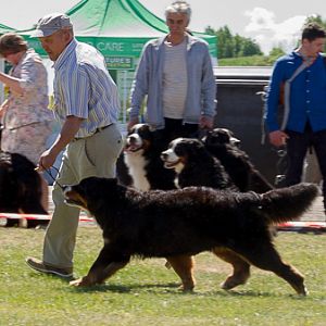 IMG_3702