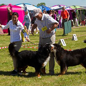 IMG_3718