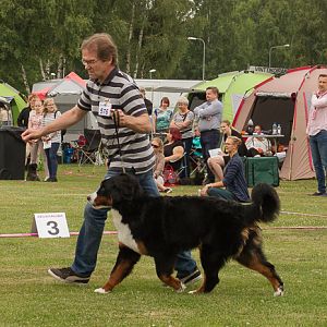 IMG_7543