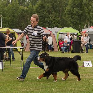 IMG_7546