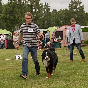 IMG_7554