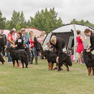 IMG_7565