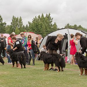 IMG_7570