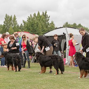 IMG_7576