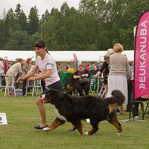 IMG_7620