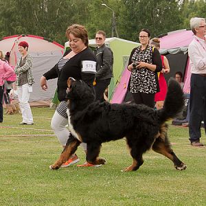 IMG_7678