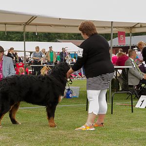 IMG_7685