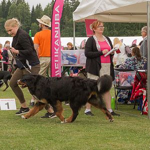 IMG_7702