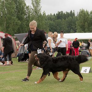 IMG_7710
