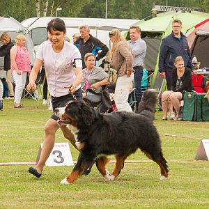IMG_7750