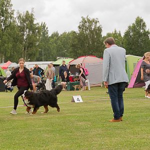 IMG_7755