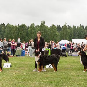 IMG_7785