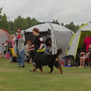 IMG_7810