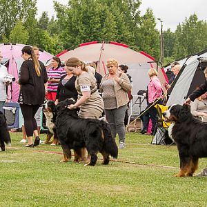 IMG_7817