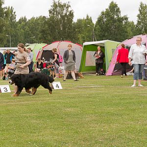 IMG_7838