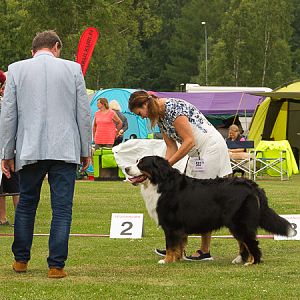 IMG_7849