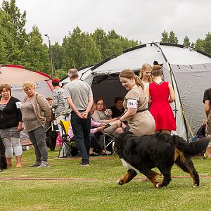 IMG_7892