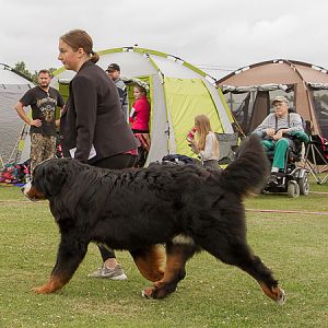 IMG_7909