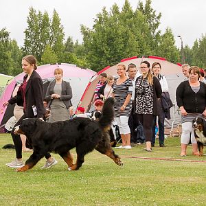 IMG_7921