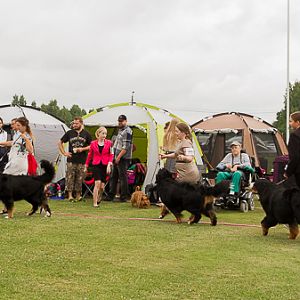 IMG_7943