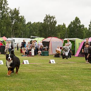 IMG_7966