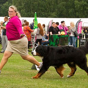 IMG_7981