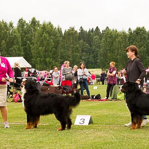 IMG_8043