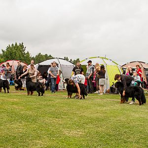 IMG_8060