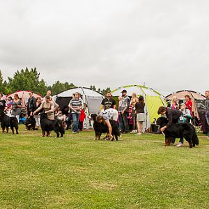 IMG_8061
